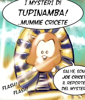 Tupinamba! 10 MUMMIE CRICETE INTRO